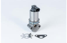 AGR-Ventil BorgWarner (Wahler) 710780D0