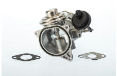 AGR-Ventil BorgWarner (Wahler) 7650D