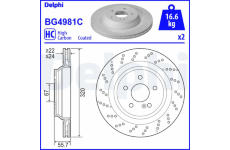 Brzdový kotouč DELPHI BG4981C