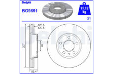 Brzdový kotouč DELPHI BG9891