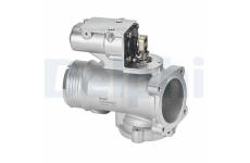 AGR-Ventil DELPHI EG10616-12B1