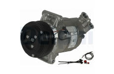 Kompresor, klimatizace DELPHI TSP0155462