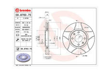 Brzdový kotouč MAGNETI MARELLI 360406018905