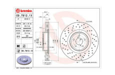 Brzdový kotouč MAGNETI MARELLI 360406066902