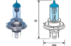 Zárovka MAGNETI MARELLI 002602100000