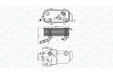 Olejový chladič, motorový olej MAGNETI MARELLI 350300004800