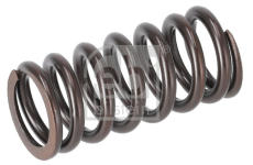 Pružina ventilu FEBI BILSTEIN 1007323