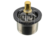 Termostat, chladivo FEBI BILSTEIN 173716