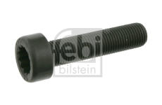 Šroub setrvačníku FEBI BILSTEIN 24612