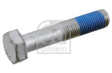 Skrutka remenice FEBI BILSTEIN 33675