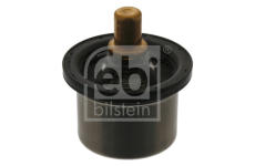 Termostat, chladivo FEBI BILSTEIN 40674