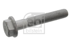 Skrutka FEBI BILSTEIN 43596