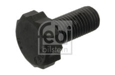 Šroub setrvačníku FEBI BILSTEIN 48705