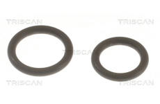 Sada těsnění, vstřikovací tryska TRISCAN 596-1002