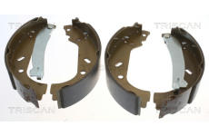 Sada brzdových čelistí TRISCAN 8100 10004