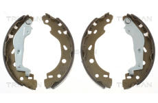 Sada brzdových čelistí TRISCAN 8100 10005