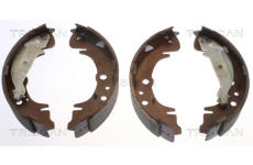 Sada brzdových čelistí TRISCAN 8100 10019