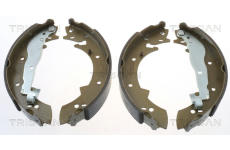 Sada brzdových čelistí TRISCAN 8100 10307