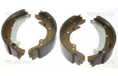 Sada brzdových čelistí TRISCAN 8100 10573