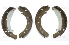 Sada brzdových čelistí TRISCAN 8100 10576