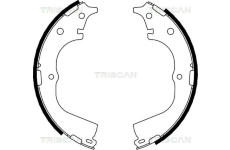 Sada brzdových čelistí TRISCAN 8100 13557