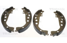 Sada brzdových čelistí TRISCAN 8100 13617