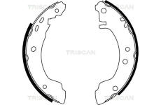 Sada brzdových čelistí TRISCAN 8100 14531