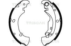 Sada brzdových čelistí TRISCAN 8100 15625