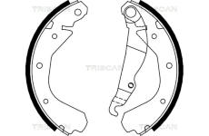 Sada brzdových čelistí TRISCAN 8100 24413