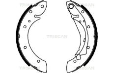 Sada brzdových čelistí TRISCAN 8100 28598