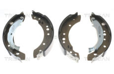 Sada brzdových čelistí TRISCAN 8100 38001