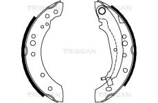 Sada brzdových čelistí TRISCAN 8100 42020