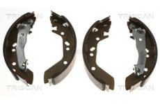 Sada brzdových čelistí TRISCAN 8100 43012