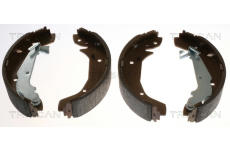 Sada brzdových čelistí TRISCAN 8100 43025