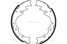 Sada brzdových čelistí TRISCAN 8100 50461
