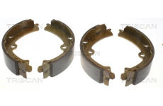 Sada brzdových čelistí TRISCAN 8100 69473