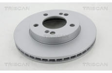 Brzdový kotouč TRISCAN 8120 101038C