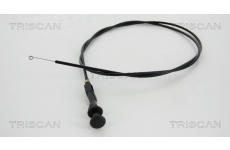 Hřídel vzduchové klapky, karburátor TRISCAN 8140 25506