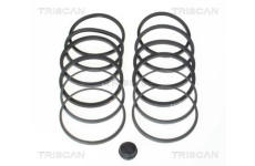 Sada na opravy, brzdový třmen TRISCAN 8170 204602