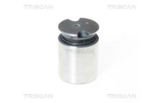 Píst, brzdový třmen TRISCAN 8170 233634