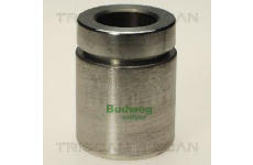 Píst, brzdový třmen TRISCAN 8170 233824