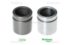 Píst, brzdový třmen TRISCAN 8170 234517