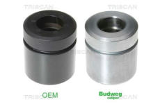 Píst, brzdový třmen TRISCAN 8170 235206