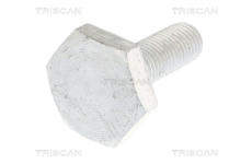 Upevnovaci cepy, pricne zavesne rameno TRISCAN 8501 0520