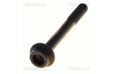 Upevnovaci cepy, pricne zavesne rameno TRISCAN 8501 0522