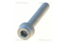 Upevnovaci cepy, pricne zavesne rameno TRISCAN 8501 0525