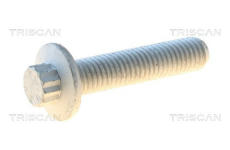 Upevnovaci cepy, pricne zavesne rameno TRISCAN 8501 0541