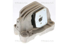 Zavěšení motoru TRISCAN 8505 27110