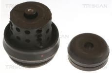 Zavěšení motoru TRISCAN 8505 29118