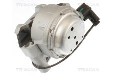 Zavěšení motoru TRISCAN 8505 29171